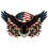Patriotic Eagle Sign RVG5716S