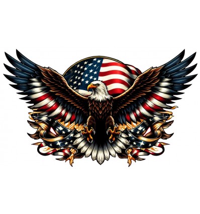 Patriotic Eagle Sign RVG5716S