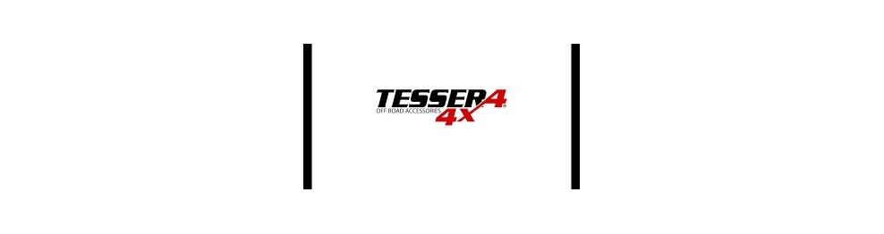 Tessera4x4